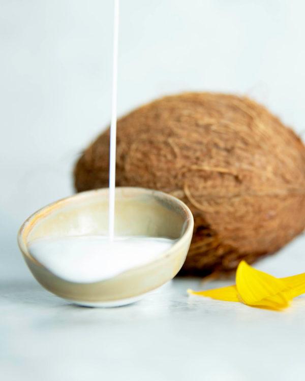 Natural Coconut Conditioner for dry hair