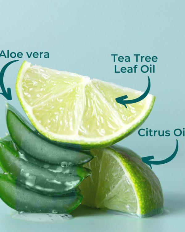 Organic Body Wash eco-refill