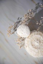 natural exfoliating sponge