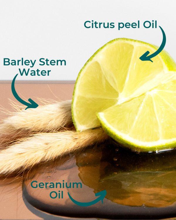 Natural organic Shower Gel Cosmebulle