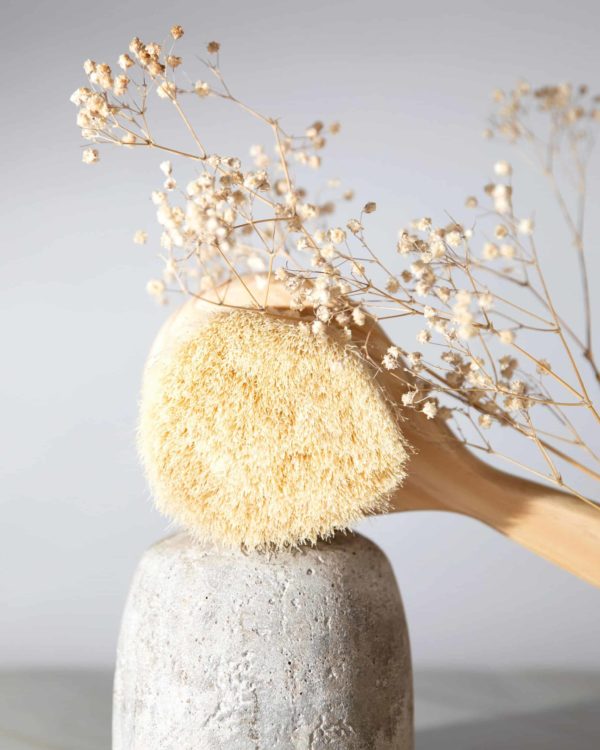 natural exfoliating brush