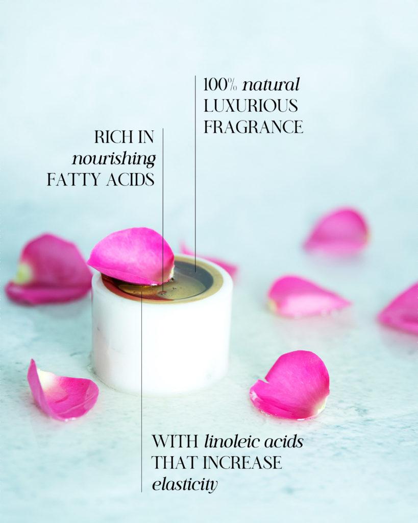 Natural Shampoo Wild rose Faith in Nature - Damaged hair