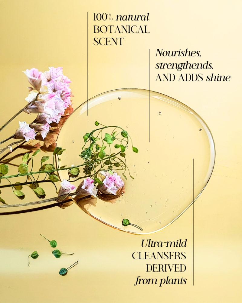 Shampoo for All Hair Types - Image 2