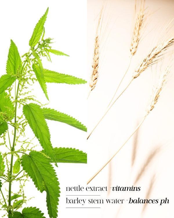 BLOOM Bio-Vegan Natural Shampoo ingredients