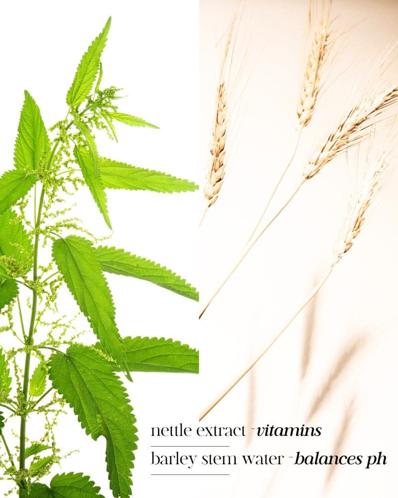 BLOOM Bio-Vegan Natural Shampoo ingredients