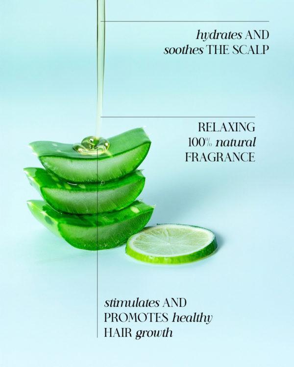 Natural shampoo rich in vitamins and minerals, to gently cleanse, balance, and promote healthy scalp & hair.