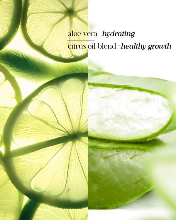 Shampooing naturel riche en vitamines et minéraux, pour nettoyer en douceur, équilibrer et favoriser un cuir chevelu & des cheveux sains.