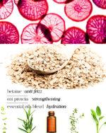 Natural Shampoo Orange Grove - Image 3