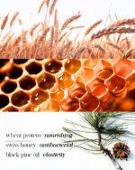 Natural soap for hands & body with organic oils, wheat protein, and Swiss honey. Hydrates, protects, and cleanses with a luxurious fragrance.